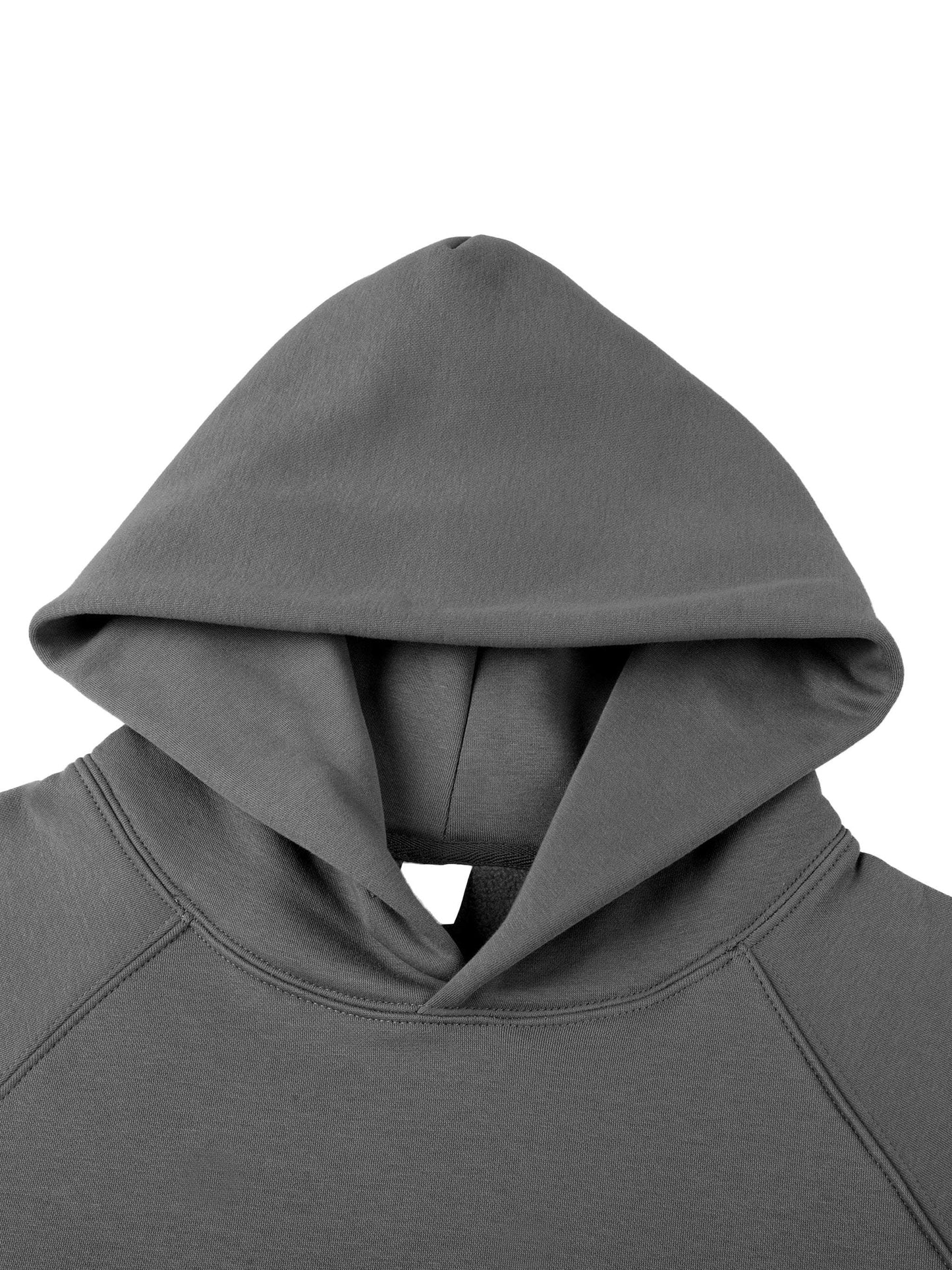 Gray raglan sleeve hoodie from Lions Fearless Apparel Line, featuring a hooded design.
